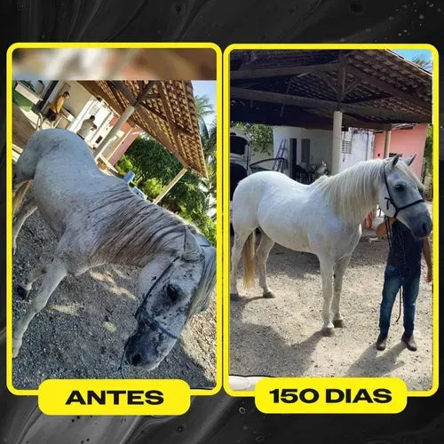 Cavalo Forte Super Premium 1KG