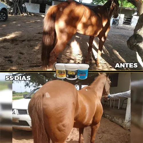 Cavalo Forte Super Premium + Crescimento + Casco e Pelo 1kg