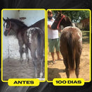 Crescimento + Casco e Pelo 1KG