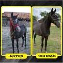 Crescimento Super Premium 1KG